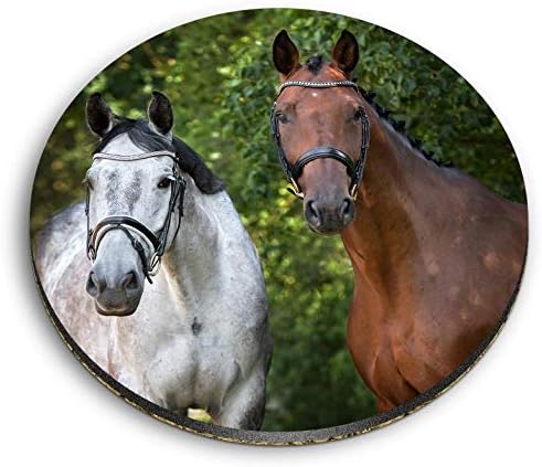 Destination 24349 - Imanes redondos de MDF con caballos de caballo