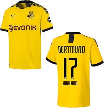 trikot suche
