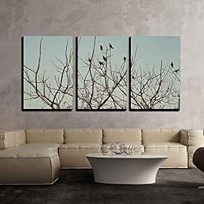 Group of Crows Sitting on The Bare Branches...