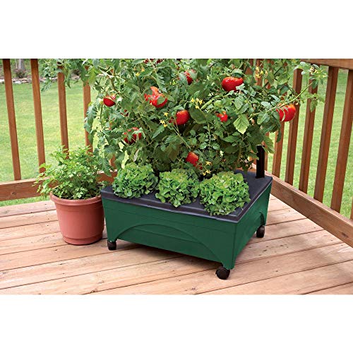 Emsco Group 23411HD City Picker Raised Bed Self Watering and Improved Aeration Mobile Unit