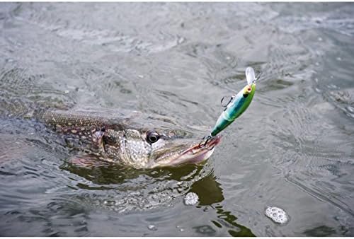 fenwick hmg spinning rod sale