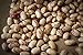 Rancho Gordo Cranberry Heirloom Beans, Four Pack