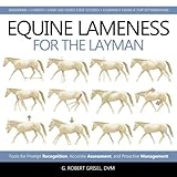 Equine Lameness for the Layman: Tools for Prompt