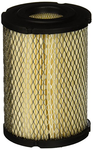 Stens 100-069 Air Filter Replaces John Deere Am100137 Wisconsin L0188 Club Car 1013379 1012506 Columbia 29131-88 29131-71 291131-71 E-Z-Go 14416-G1