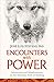 Encounters with Power: Adventures and Misadventures on the Shamanic Path of Healing by 