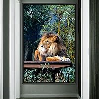 Framed Canvas Wall Art Lions Animals Chic Dramatic Lion Living Room Multicolor Photography - 16x24 inches