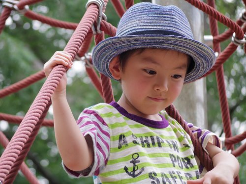 Pentax-Q7-Black-Zoom-Lens-Kit-with-02-Standard-Zoom-5-15mm-f28-45-International-Version-No-Warranty