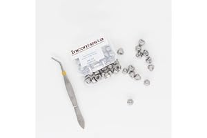 50pcs 6#-32 Acorn Cap Nuts, INCONTESTA 304 Stainless Steel Hex Acorn Cap Nut, Decorative Round Head Cover Dome Nuts