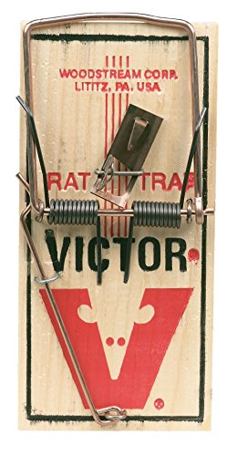 Victor M201 Rat Trap (Pack of 12) - //coolthings.us