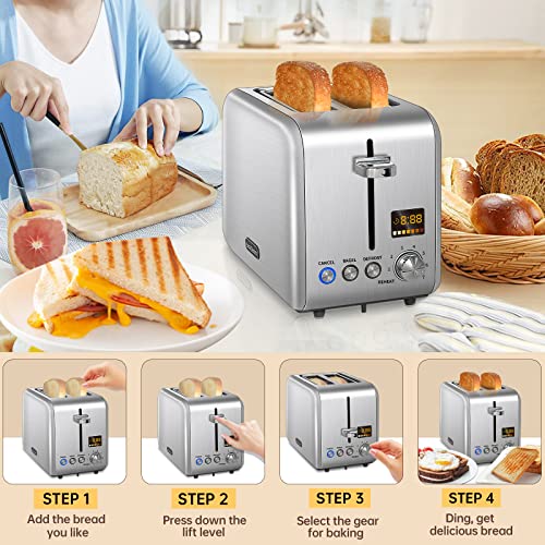 SEEDEEM Toaster 2 Slice, Stainless Steel Bread Toaster with Colorful