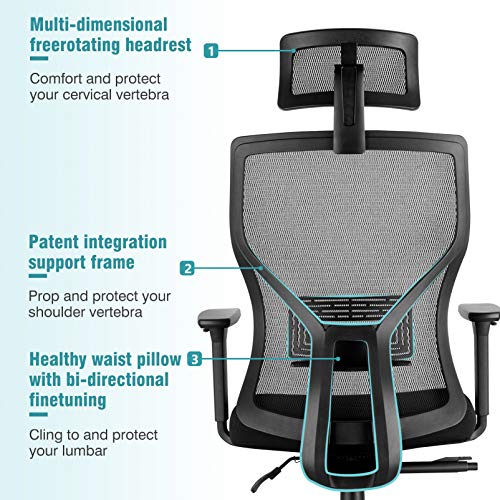 MOLENTS Ergonomic Executive Office Chair HighBack Computer Chair with