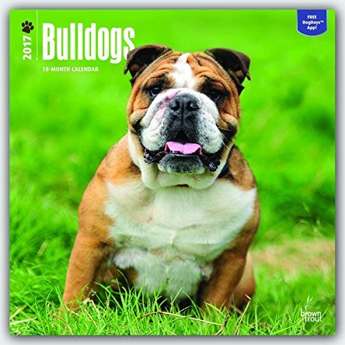 2017 Bulldogs Calendar - 12 x 12 Wall Calendar