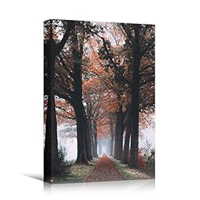 signwin Canvas Wall Art Autumn Dramatic Forest Landscape...