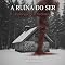 Livro A ruina do ser: Heidegger e o nazismo
