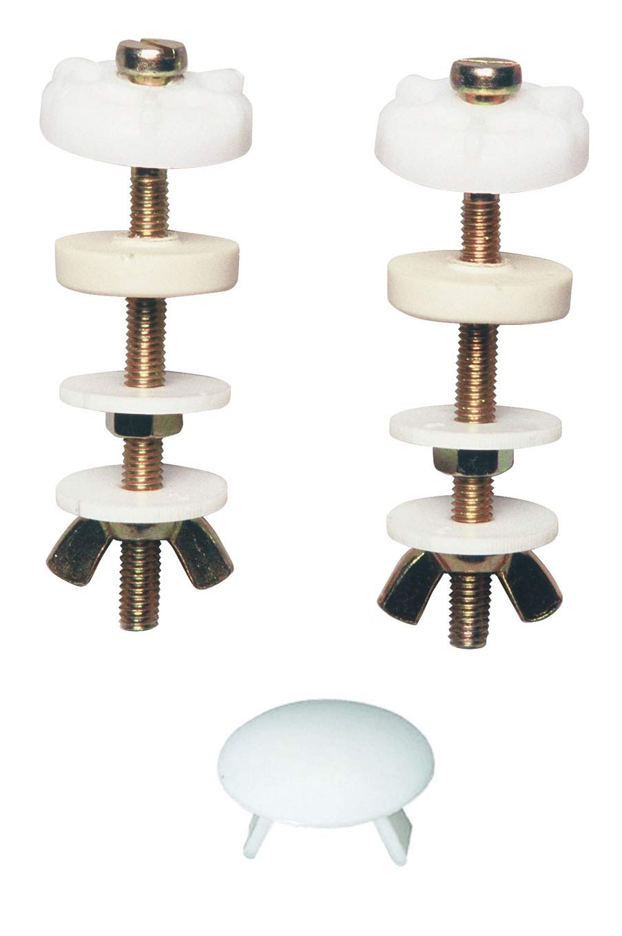 WIRQUIN M21, Metal screw for Bowl and cistern, White WC