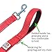 Dog Leash for Medium, Large and Small Dogs - 6 Foot Dog Leashes for Training and Daily Walks - Durable Sizes in Lightweight and Heavy Duty for Small and Large Breeds (2-Layer Reflective, Red)