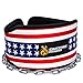 DMoose Dip Belt for Weightlifting, Weight Belt with Chain for Pullup, Gym Lifting Belt for Powerlifting, Squat, Bodybuilding, Heavy Duty Steel, Workout Belt with Comfortable Neoprene Support