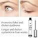 Natural Lash Growth Serum - USA Made Eyebrow Growth Enhancer - Eyelash Booster to Grow Longer Eyelashes - Lash Boost & Brow Enhancing Serum