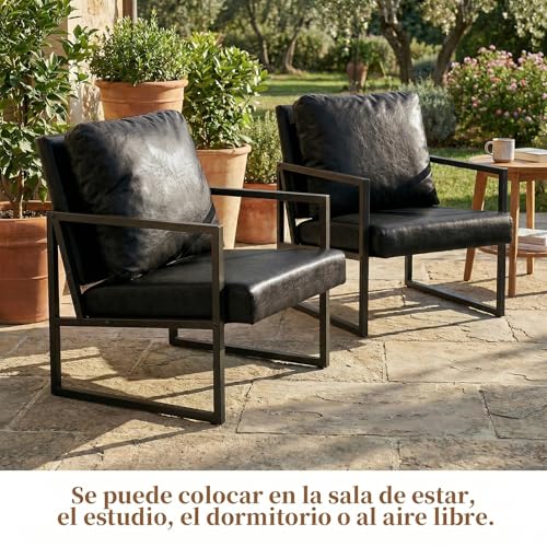 Simple Wisdom Sillon Individual,Sillones Para Sala,Sillones Individuales Viene Con Cojines y Almohadas,Marco de Metal,Fácil montaje,60*58*79 CM,Adecuado Para Sala Estar,Dormitorio,Oficina(Negro-1)