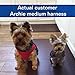 Comfort fit All Weather Step-in Dog Harness - Adjustable Small Dog Harness Medium Sized Dogs - Soft Padded Easy Walk Dog Vest Harnesses