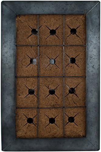 Live Green AquaSav Coco Vertical Wall Planter with Black Zinc Frame