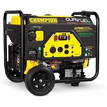 Champion 3800-Watt Dual Fuel RV Ready Portable Generator with Electric Start