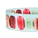 Blueberry Pet Essentials The Ultimate Macaroon Cake Adjustable Dog Collar, X-Small, Neck 7.5