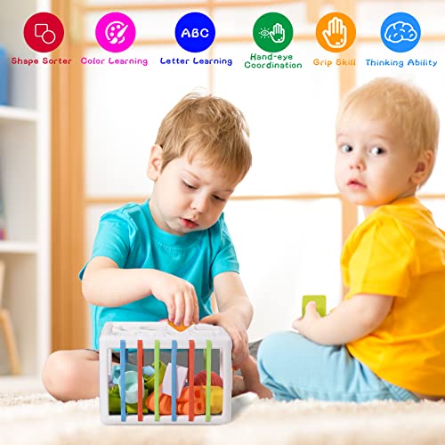 Baby Shape Sorting Toy, 2 in 1 Sensory Shape Bin with Colorful Elastic