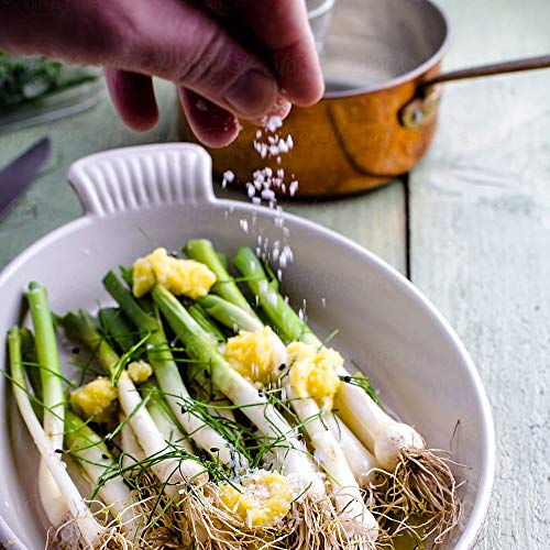 Mediterranean Sea Salt, Extra Coarse Grain 1 lb. - Image 5