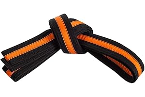 MASTERY MARTIAL ARTS Mastery Apprentice