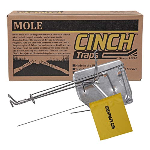 Cinch Mole Trap with Tunnel Marking Flag (Small) -SINGLE TRAP-Heavy-Duty, Reusable Rodent Trapping System | Lawn, Garden, and Outdoor Use | Weather Resistant Steel
