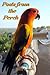 Posts from the Perch by Becca Brandes