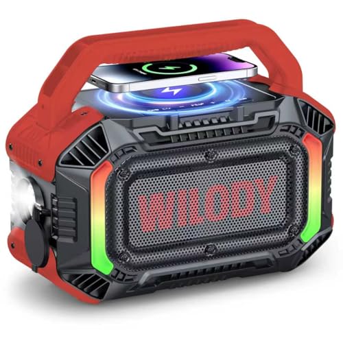 Wilody 100W Outdoor Portable Bluetooth Speaker