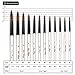 YOUSHARES 12 Pcs Art Paint Brush Set for Watercolor, Oil, Acrylic Paint/Craft, Nail, Face Painting