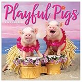 2020 Playful Pigs Wall Calendar by 