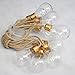 Finelady [New Nordic Design] LED Globe String Lights, Battery Operated Vintage Holiday Lights – 13 feet Jute String & 10 Clear Energy-efficient Bulbs, Warm White – Best for Weddings, cafes, patios.