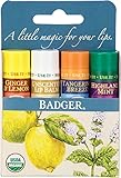 Badger Classic Lip Balm - Tangerine Breeze, Ginger & Lemon, Highland Mint and Unscented 4Pk