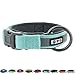 Pawtitas Lumberjack Padded Martingale Collar for Dogs | Soft Neoprene Dog Collar for Your pet's Comfort Made with Reflective Band for Maximum Visibility | Fits Small and Large Pets - Medium Teal