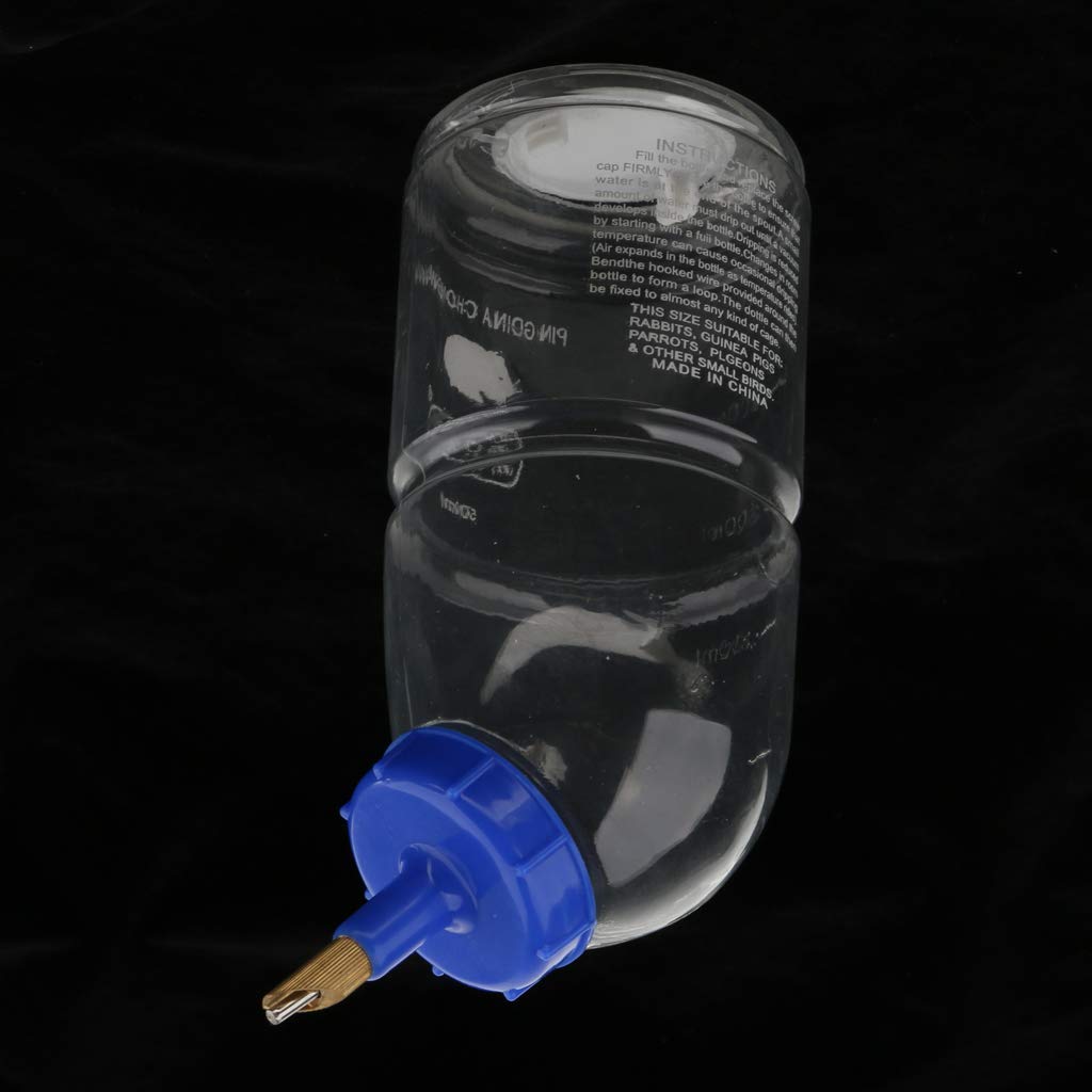 Buy Flameer Feeder Or Waterer For Rabbits Guinea Pig 500ml Online