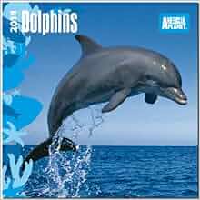 Animal Planet Dolphins Calendar Multilingual Edition