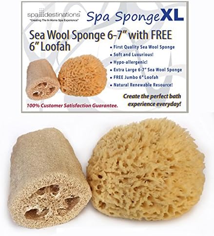 Spa Sponge XL™ Sea Wool Sponge (6"-7") by Spa Destinations™ This is the most luxurious Natural Sponge in the world. For a Lmited Time you receive our Exfoliating Loofah 6" FREE with every Purchase ($7.50 Value) 100% Money Back GUARANTEE! Great Value! A $31.50 Value when purchased seperately. SAVE 40% while supplies last!