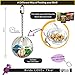 Birds LOVE Premium Hanging Clear Foraging Plastic Perforated Ball - Durable 3