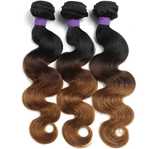 Cranberry-Virgn-Hair-Ombre-Body-Wave-Hair-One-Bundle-Brazilian-Remy-Hair-Body-Wave-Weave-100-Human-Hair-Extensions-3-Tone-1b430-Color-100gpc28Inch