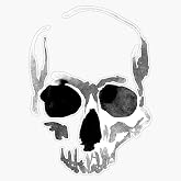 RQH Trading skull Sticker Bumper Sticker Vinyl Decal 5''