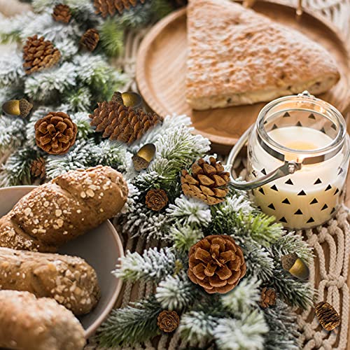 CHolic 72Pcs Pine Cone Set, Natural Pinecone Acorns Pine Cones Ornaments for Autumn and Winter Crafts Decorating, Christmas Decor, Bowl Vase Fillers