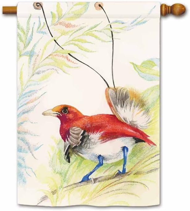 Amazon Com Kafepross Drawing Of Beautiful Bird On The Tree House