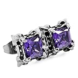 INBLUE Men's Stainless Steel Stud Earrings CZ Silver Tone Black Purple Dragon Claw Square