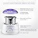 Hair Removal Wax Warmer, Electric Heater Wax Warmer with 2 Flavors Hard Wax Beans and 20 Pack Wax Applicator Sticks For Women and Man