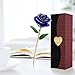 24K Gold Rose Flower, Metal Dipped Roses Artificial Flowers for Valentine Day, Anniversary, Birthday for Lover Mother Girlfriend, 24K Golden Plated Rose in Present Box Red