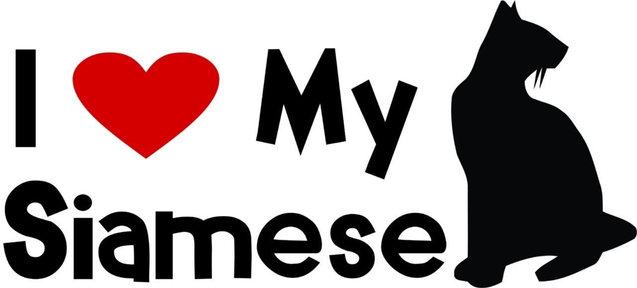 Get it Stick it SkinTabAmaFireHDX7inch_9 Green Pattern Skin for 7-Inch Amazon Kindle Fire HDX